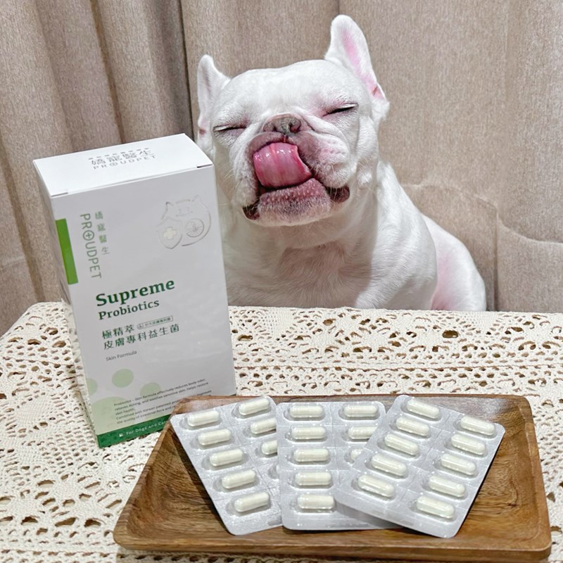 試用